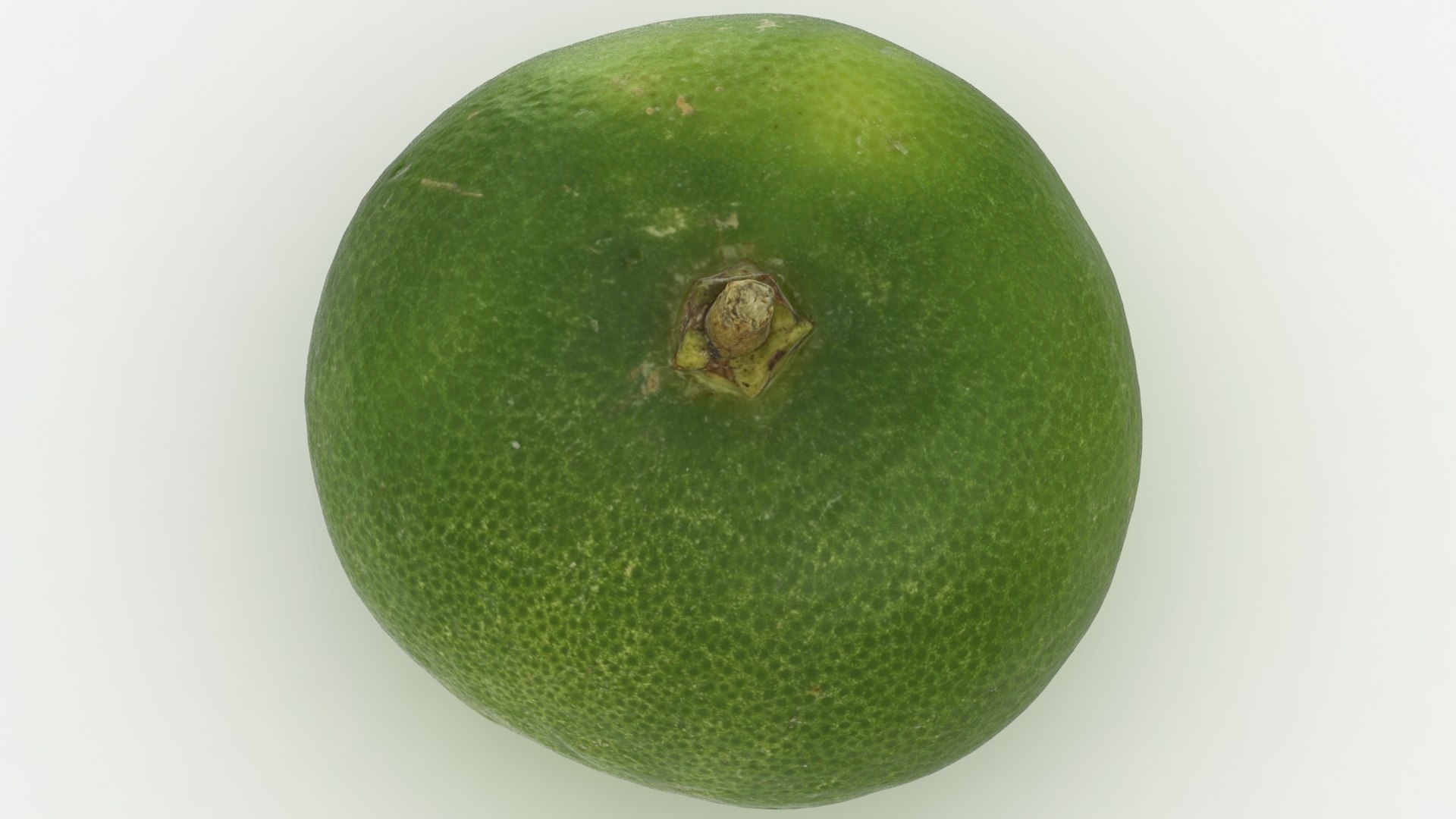 3D model lime small https://p.turbosquid.com/ts-thumb/WE/rMCoK6/nz/36/jpg/1613633596/1920x1080/fit_q87/8054af91776e153e136c14d2a74c0d2200856176/36.jpg