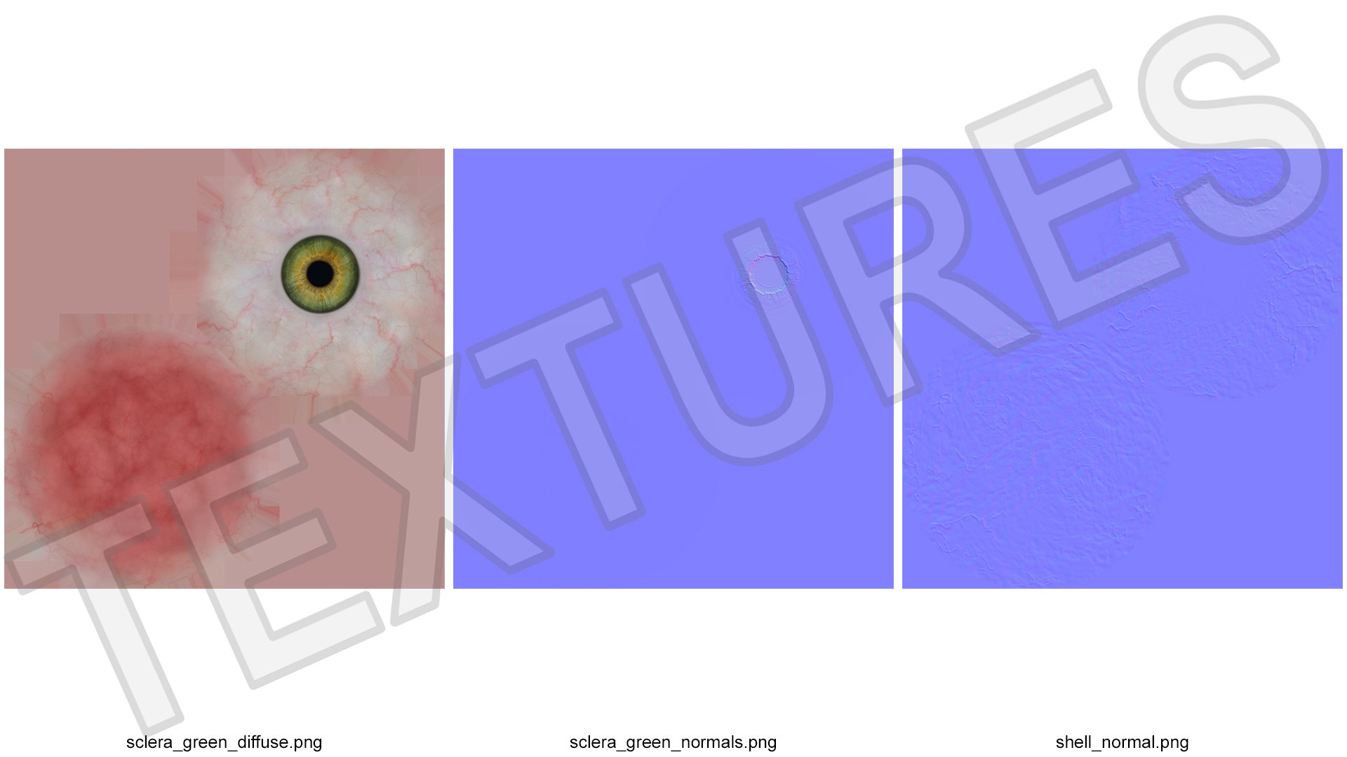 3D Realistic Human Green Eyeball Model - TurboSquid 2390555