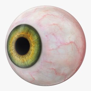Realistic Human Green Eyeball