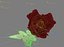 3d model rose animation