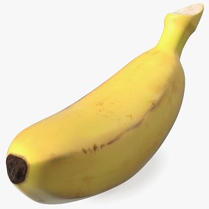 3D Old Ripe Baby Banana model