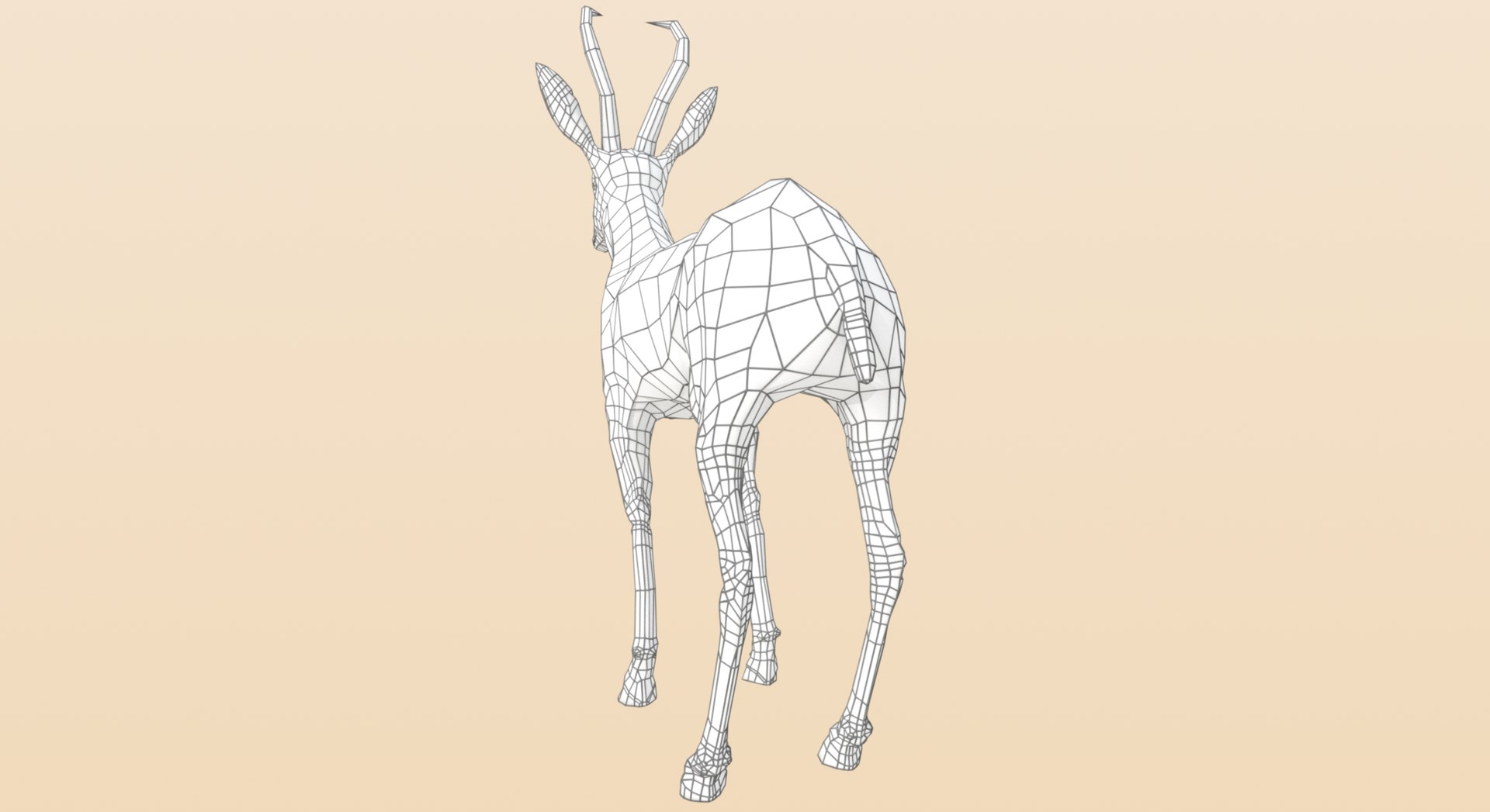 Buck Springbok Impala 3d Model