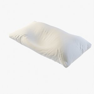 Sleeping Pillow 3D