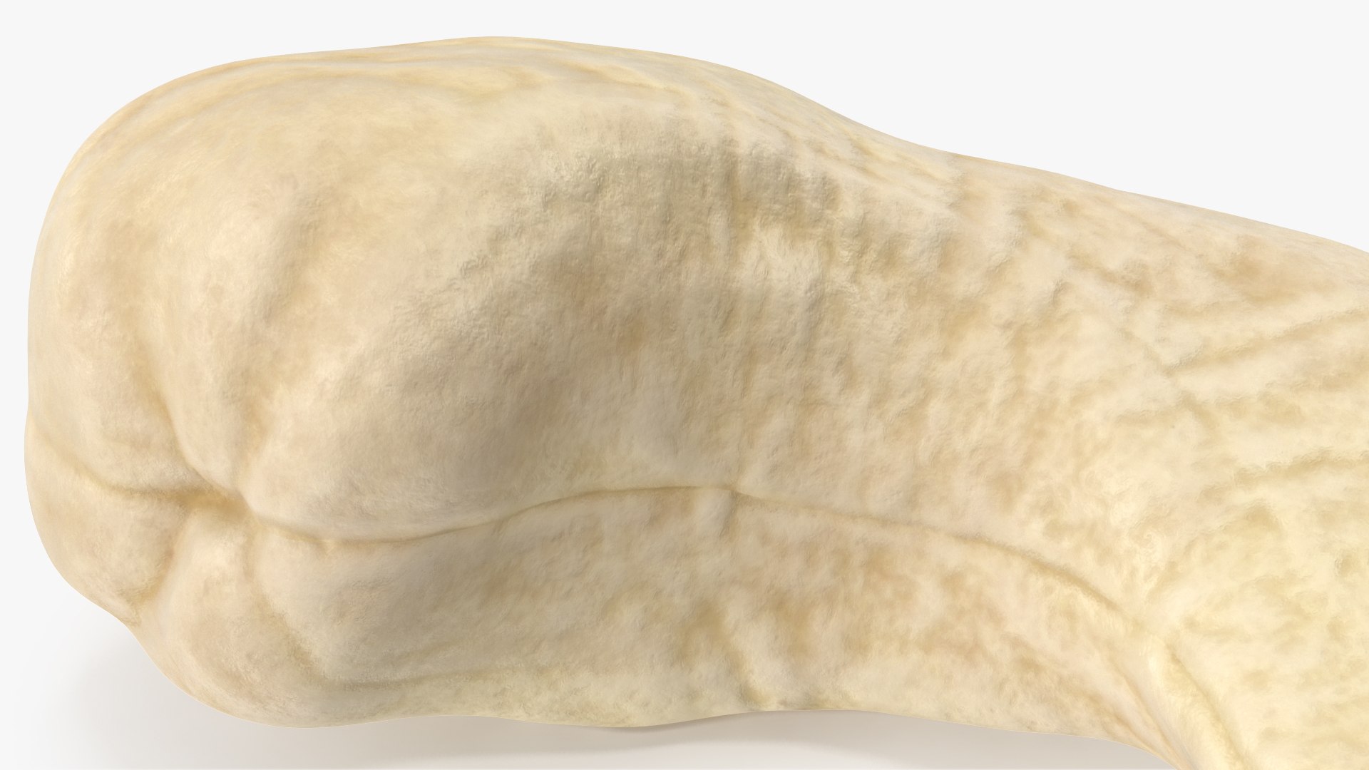 3D model Cashews 6 https://p.turbosquid.com/ts-thumb/WF/P9fvKa/2y/angles_08/jpg/1702970402/1920x1080/fit_q87/8d202bacdb702b1089810236c41e54bf98055d74/angles_08.jpg