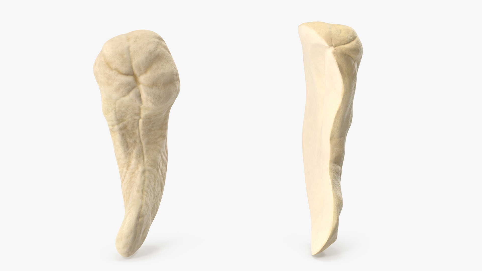 3D model Cashews 6 https://p.turbosquid.com/ts-thumb/WF/P9fvKa/Ek/turntable/jpg/1702962035/1920x1080/turn_fit_q99/802a3722e1b63c75ebe17871809dca5efc96898a/turntable-1.jpg