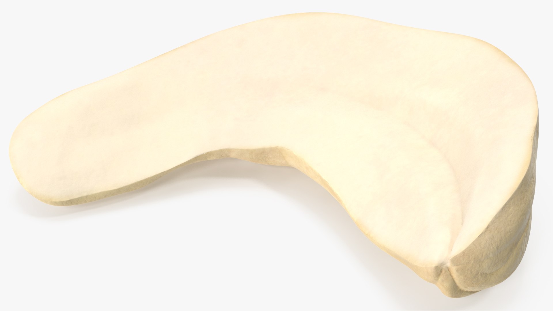 3D model Cashews 6 https://p.turbosquid.com/ts-thumb/WF/P9fvKa/HE/angles_09/jpg/1702970402/1920x1080/fit_q87/57ed2e32e43ee1a2ac064f3625680fa7acbb663d/angles_09.jpg