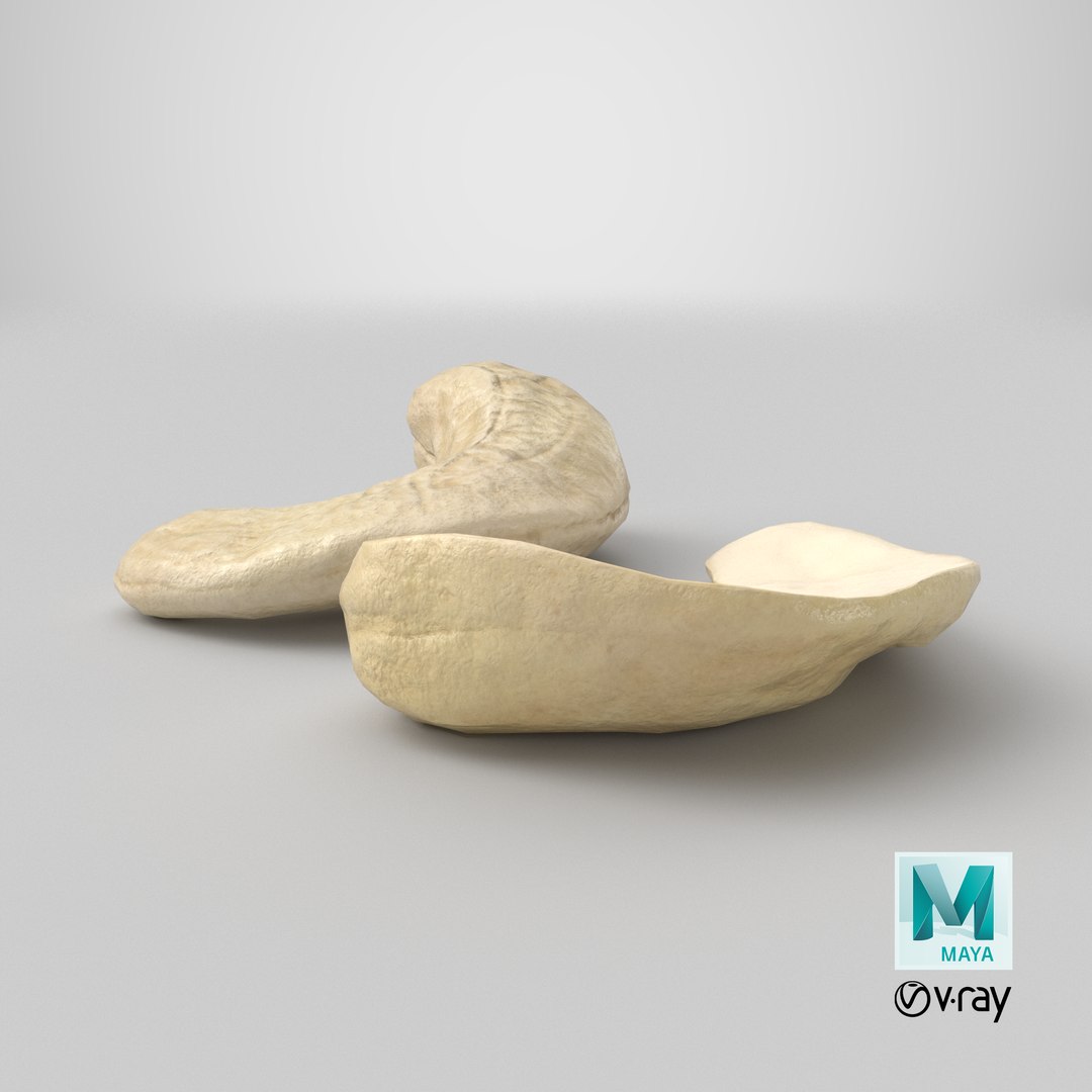 3D model Cashews 6 https://p.turbosquid.com/ts-thumb/WF/P9fvKa/lZ/stemcell_maya_vray_render/png/1704720517/1920x1080/fit_q87/9f3c81cf58534121fd36dd73a3bff43e851a95da/stemcell_maya_vray_render.jpg