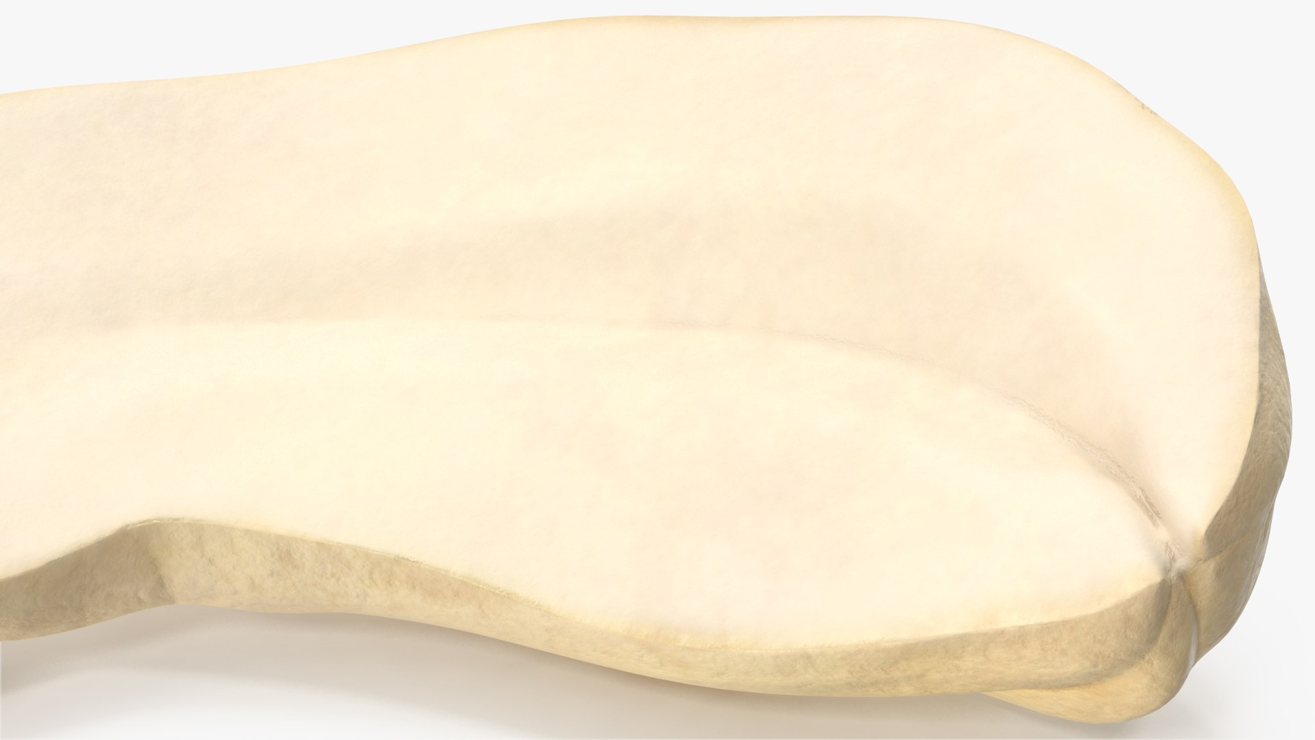 3D model Cashews 6 https://p.turbosquid.com/ts-thumb/WF/P9fvKa/xr/angles_12/jpg/1702970406/1920x1080/fit_q87/7e68ba0508f89fcaab94853a5070aa1430944df9/angles_12.jpg
