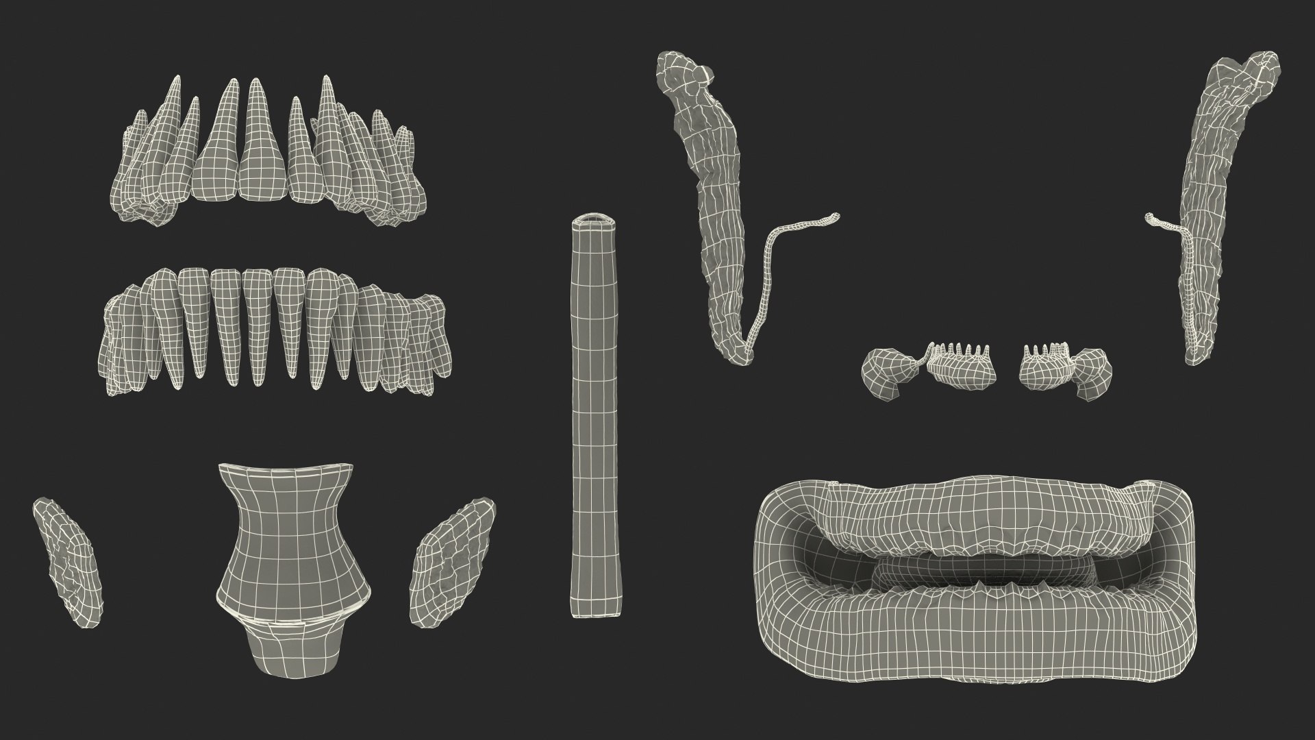 human digestive anatomy 3D model https://p.turbosquid.com/ts-thumb/WF/bQbM8E/9r1Pacnu/humandigestivesystemanatomyc4dmodel022/jpg/1573096973/1920x1080/fit_q87/0a79cc8a0724878ffa421c3bc4eaa0e14b640381/humandigestivesystemanatomyc4dmodel022.jpg
