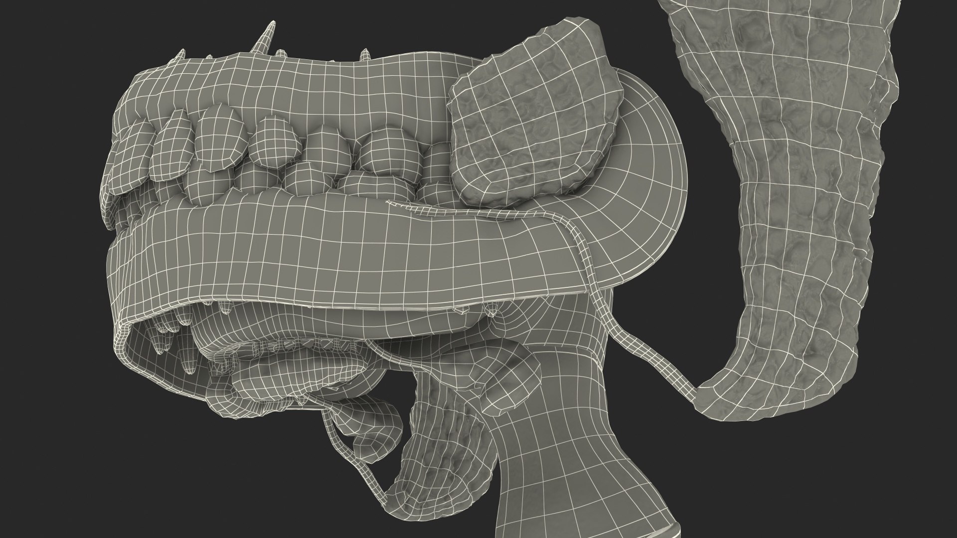human digestive anatomy 3D model https://p.turbosquid.com/ts-thumb/WF/bQbM8E/E27CQ8u9/humandigestivesystemanatomyc4dmodel021/jpg/1573096969/1920x1080/fit_q87/4aaf2992cfc51d266a92800e3887f58cb9f76363/humandigestivesystemanatomyc4dmodel021.jpg