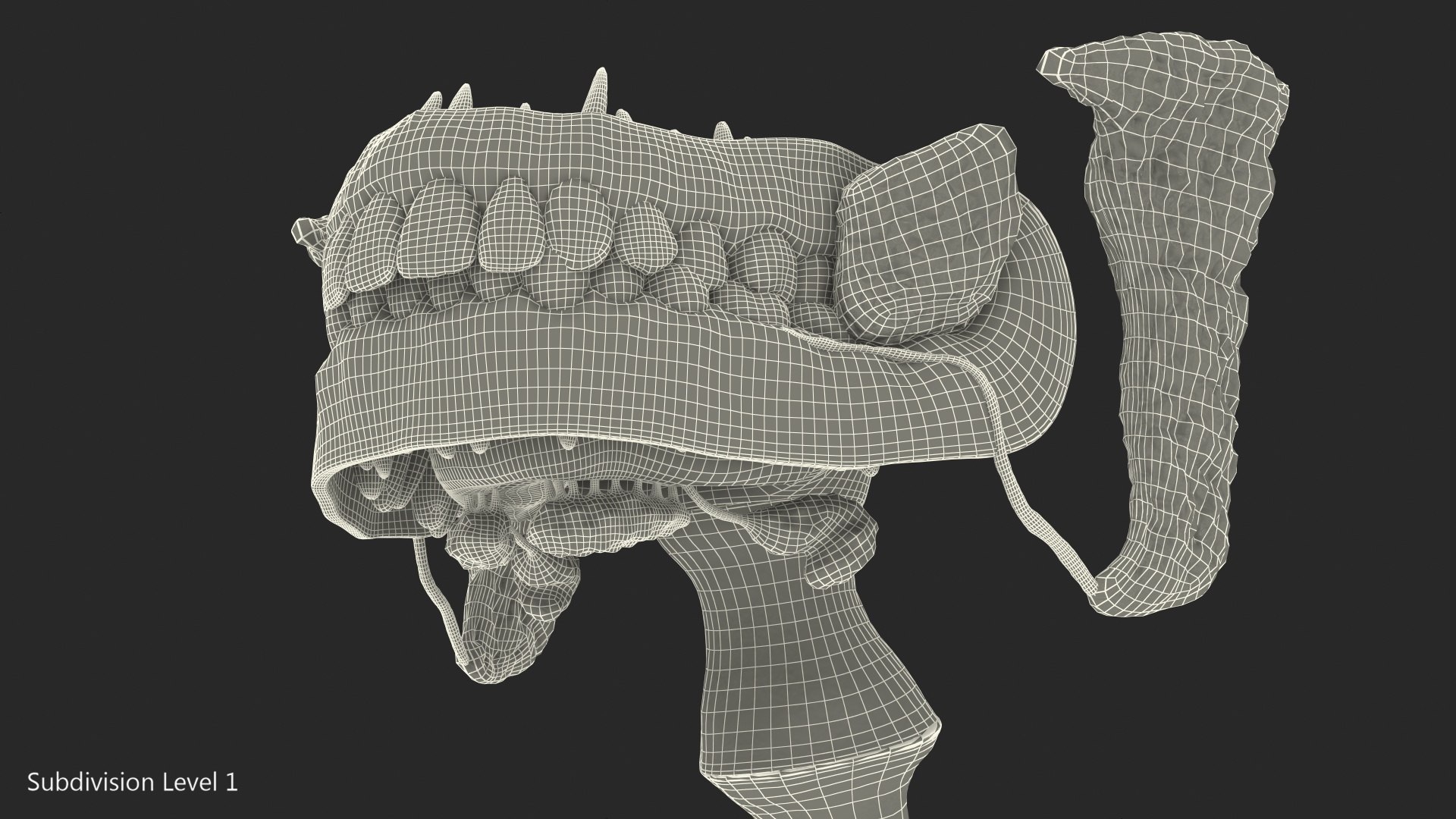 human digestive anatomy 3D model https://p.turbosquid.com/ts-thumb/WF/bQbM8E/GUOBf70K/humandigestivesystemanatomyc4dmodel014/jpg/1573096937/1920x1080/fit_q87/b37a3a5f7a17ef844ea0af69c8d1f792054682c0/humandigestivesystemanatomyc4dmodel014.jpg