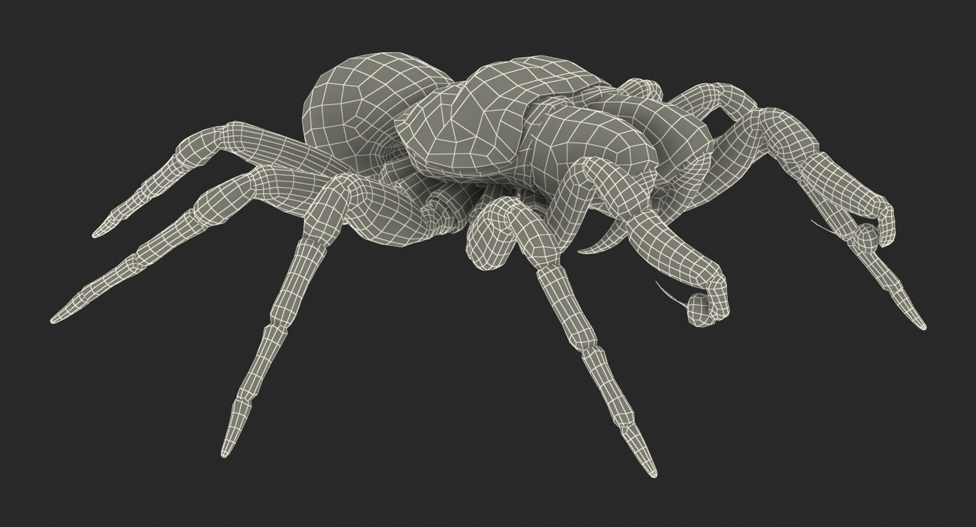 3D insects big 3 model https://p.turbosquid.com/ts-thumb/WF/bWghE4/7sG1qyyf/insectsbigcollection33dmodel168/jpg/1577449908/1920x1080/fit_q87/44f4f1fb8233edee0daddad34379be2ab6435153/insectsbigcollection33dmodel168.jpg