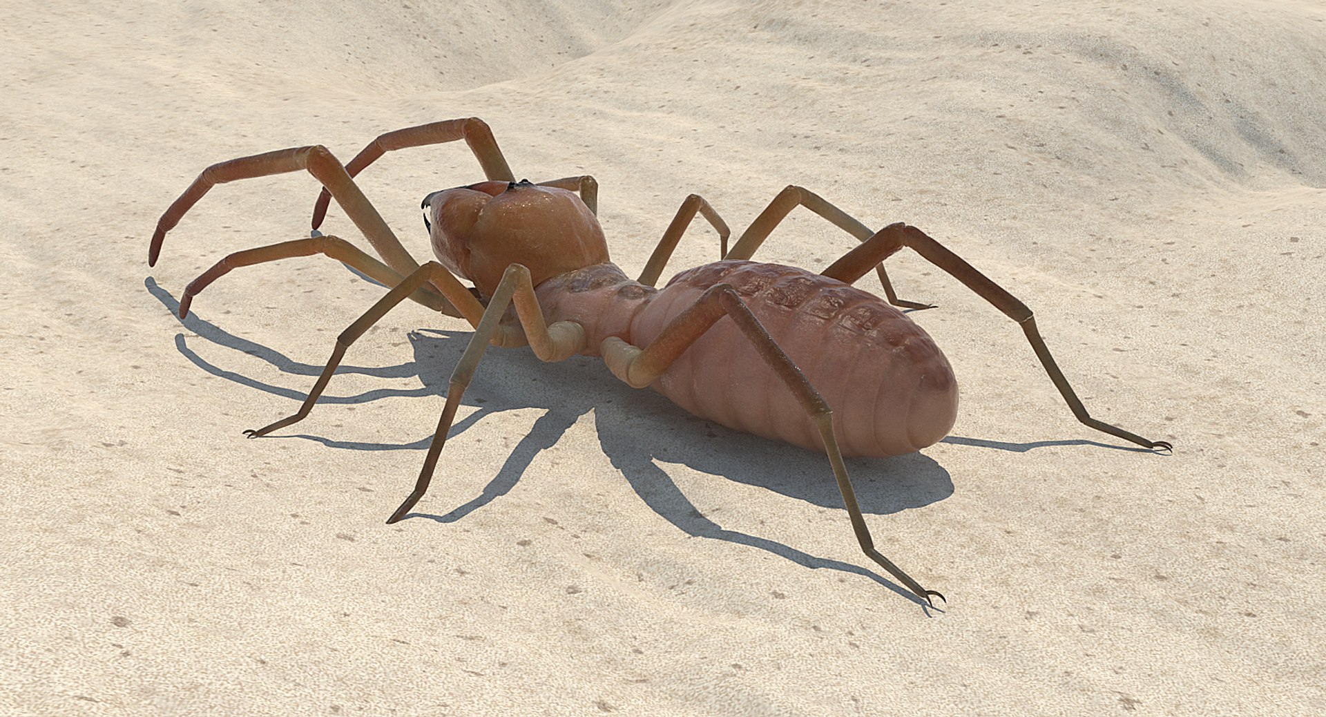3D insects big 3 model https://p.turbosquid.com/ts-thumb/WF/bWghE4/97WQEd9g/insectsbigcollection33dmodel043/jpg/1577449905/1920x1080/fit_q87/7fb1dea41937d245b4aa600ead1acff325219b33/insectsbigcollection33dmodel043.jpg