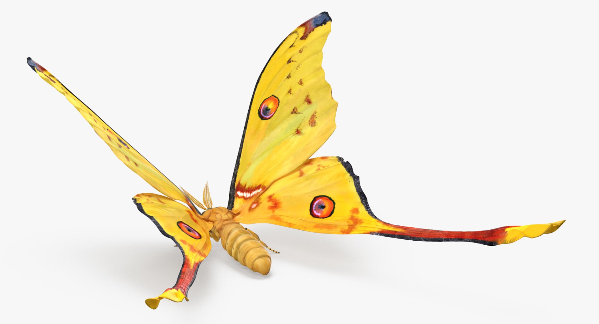 3D insects big 3 model https://p.turbosquid.com/ts-thumb/WF/bWghE4/BtGbSBX3/insectsbigcollection33dmodel111/jpg/1577449906/1920x1080/fit_q87/bbe69faaa817d7f23ac4d8419c4f6241b6897996/insectsbigcollection33dmodel111.jpg