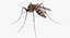 Insekten Big Collection 3