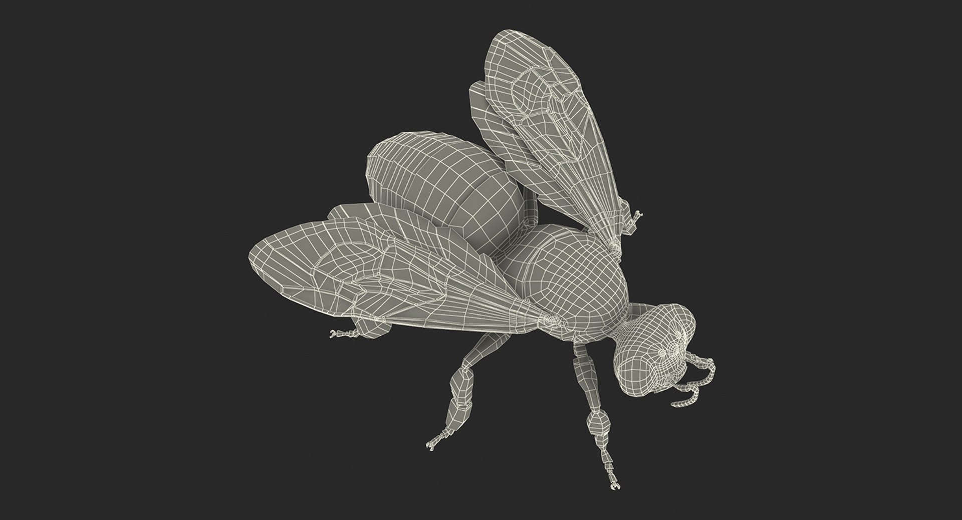 3D insects big 3 model https://p.turbosquid.com/ts-thumb/WF/bWghE4/LWtU5oIg/insectsbigcollection33dmodel178/jpg/1577449908/1920x1080/fit_q87/ec6e930fc6bb23e9e06828ba2db6026a656d60a6/insectsbigcollection33dmodel178.jpg
