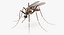 Insekten Big Collection 3