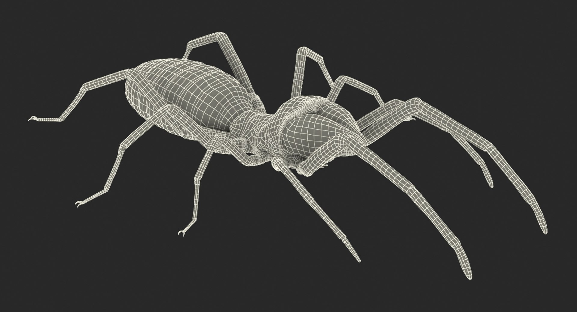 3D insects big 3 model https://p.turbosquid.com/ts-thumb/WF/bWghE4/S5dnWuJ0/insectsbigcollection33dmodel160/jpg/1577449907/1920x1080/fit_q87/095ca7b26fa16cac76a3456d535135da2eb13b63/insectsbigcollection33dmodel160.jpg