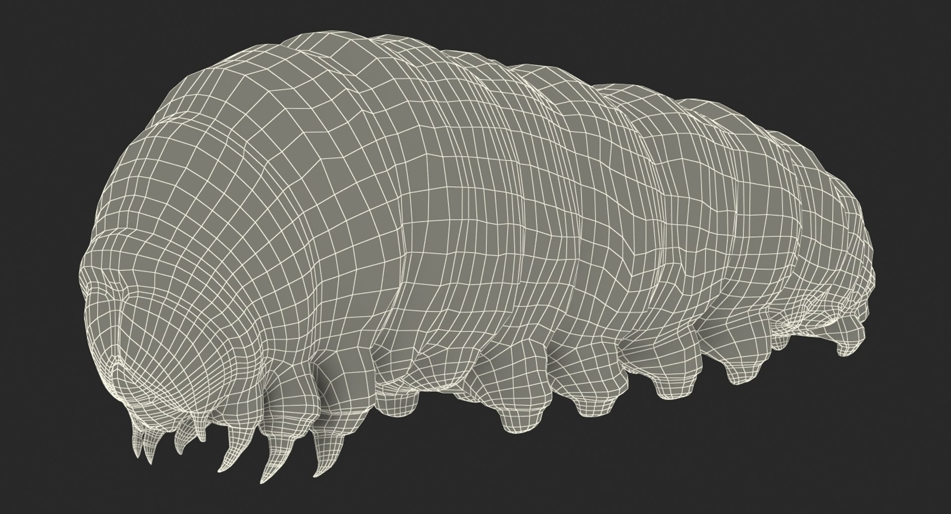 3D insects big 3 model https://p.turbosquid.com/ts-thumb/WF/bWghE4/SRrTCQhM/insectsbigcollection33dmodel175/jpg/1577449908/1920x1080/fit_q87/3733f7e21546e07a67fae2b652f2d46f9d937227/insectsbigcollection33dmodel175.jpg