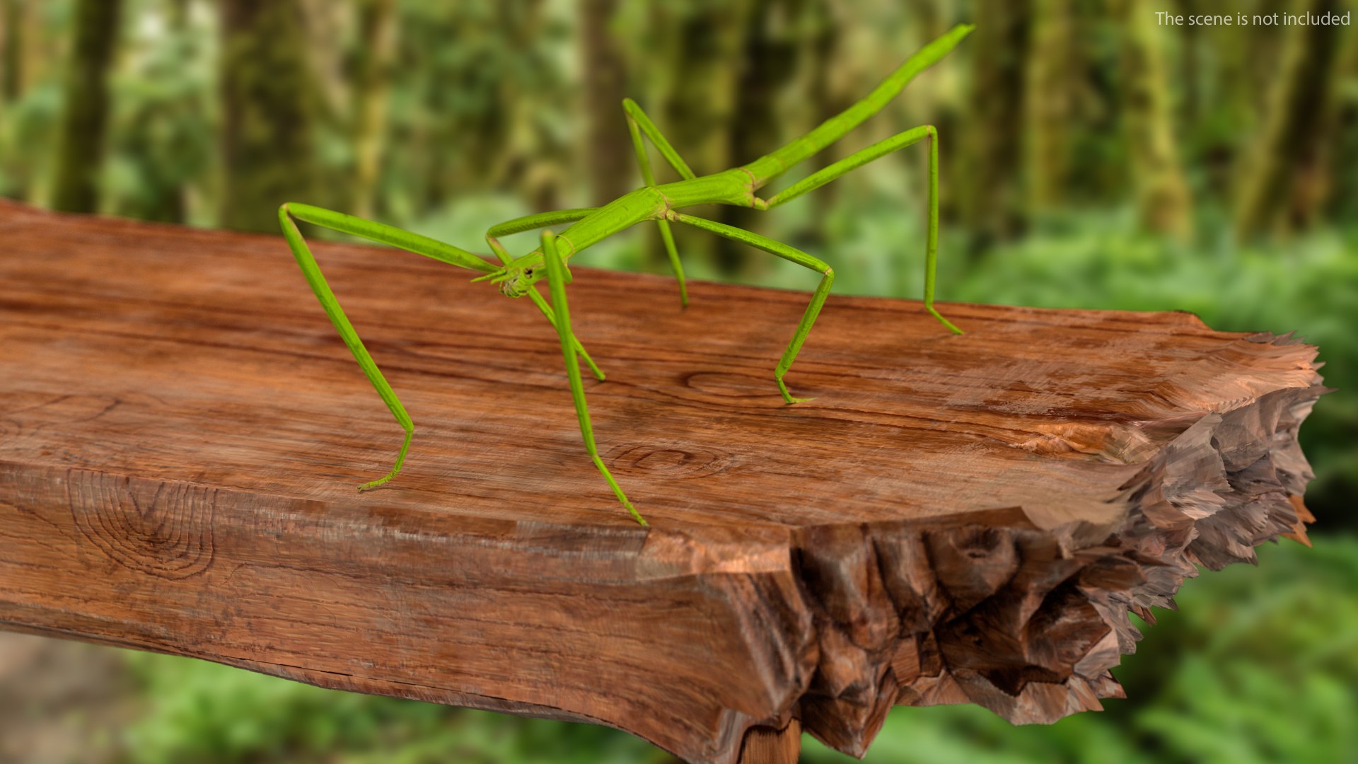 3D insects big 3 model https://p.turbosquid.com/ts-thumb/WF/bWghE4/ZQ0Vnn7o/insectsbigcollection33dmodel004/jpg/1577449904/1920x1080/fit_q87/0e34b02a101ea798871a1b8650b3febbfd6ba2b1/insectsbigcollection33dmodel004.jpg