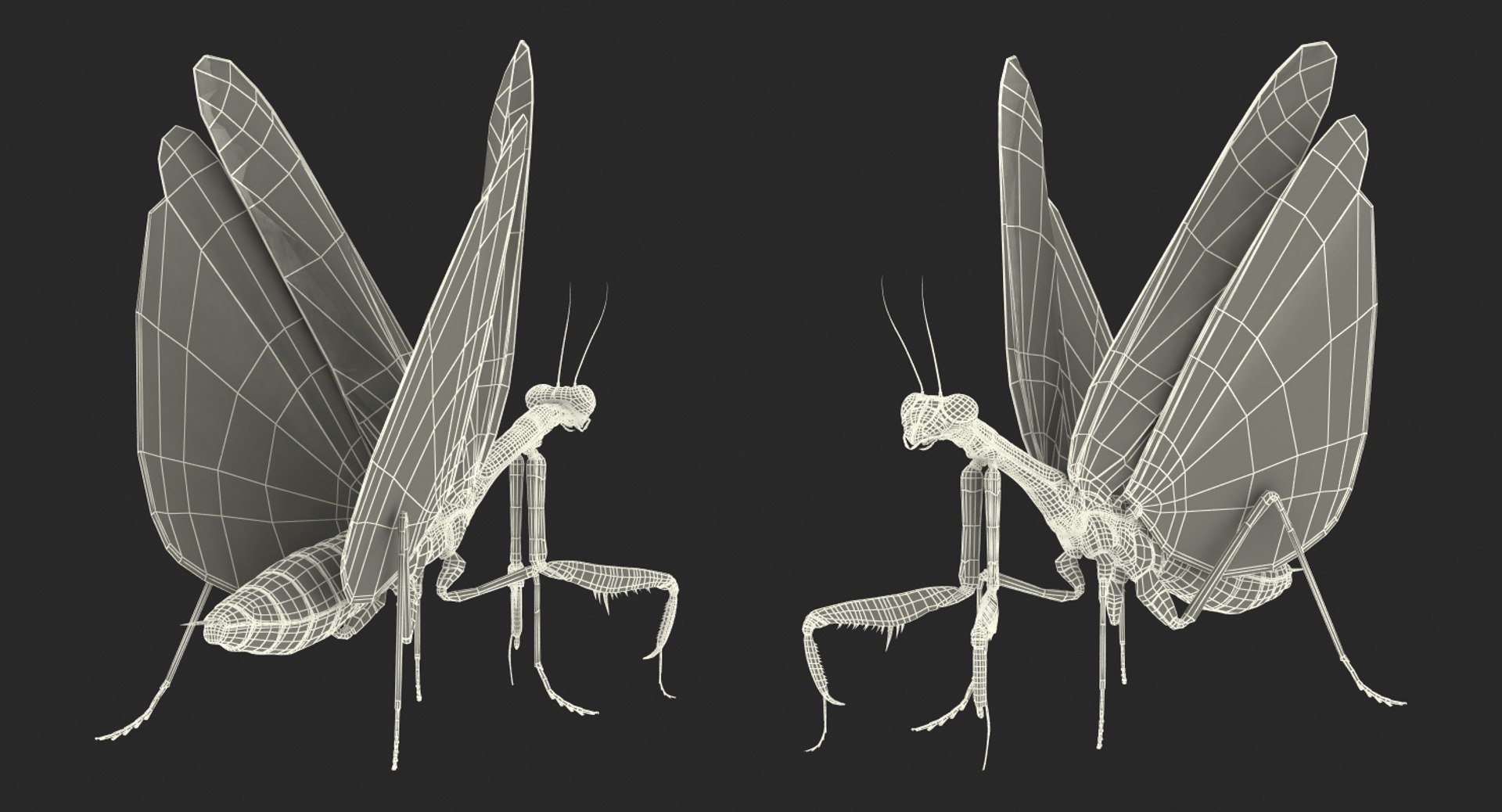 3D insects big 3 model https://p.turbosquid.com/ts-thumb/WF/bWghE4/c7UKIhDP/insectsbigcollection33dmodel157/jpg/1577449907/1920x1080/fit_q87/9a428e4bffa7fdf7b5c4cef5df5fda686fc31dfd/insectsbigcollection33dmodel157.jpg