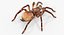 Insekten Big Collection 3