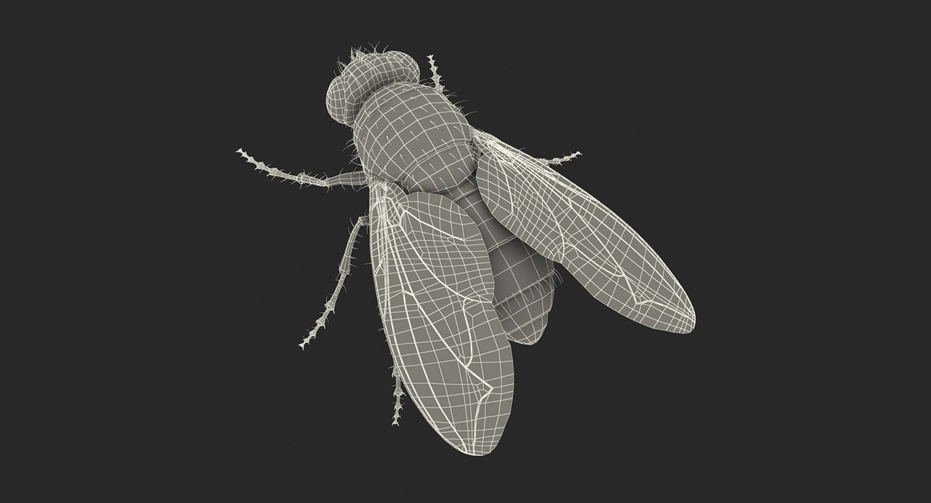3D insects big 3 model https://p.turbosquid.com/ts-thumb/WF/bWghE4/oKquPDEO/insectsbigcollection33dmodel180/jpg/1577449908/1920x1080/fit_q87/7eddb98e6420f42724e0f1c6ccbb9bcdf74be784/insectsbigcollection33dmodel180.jpg