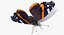 Insekten Big Collection 3
