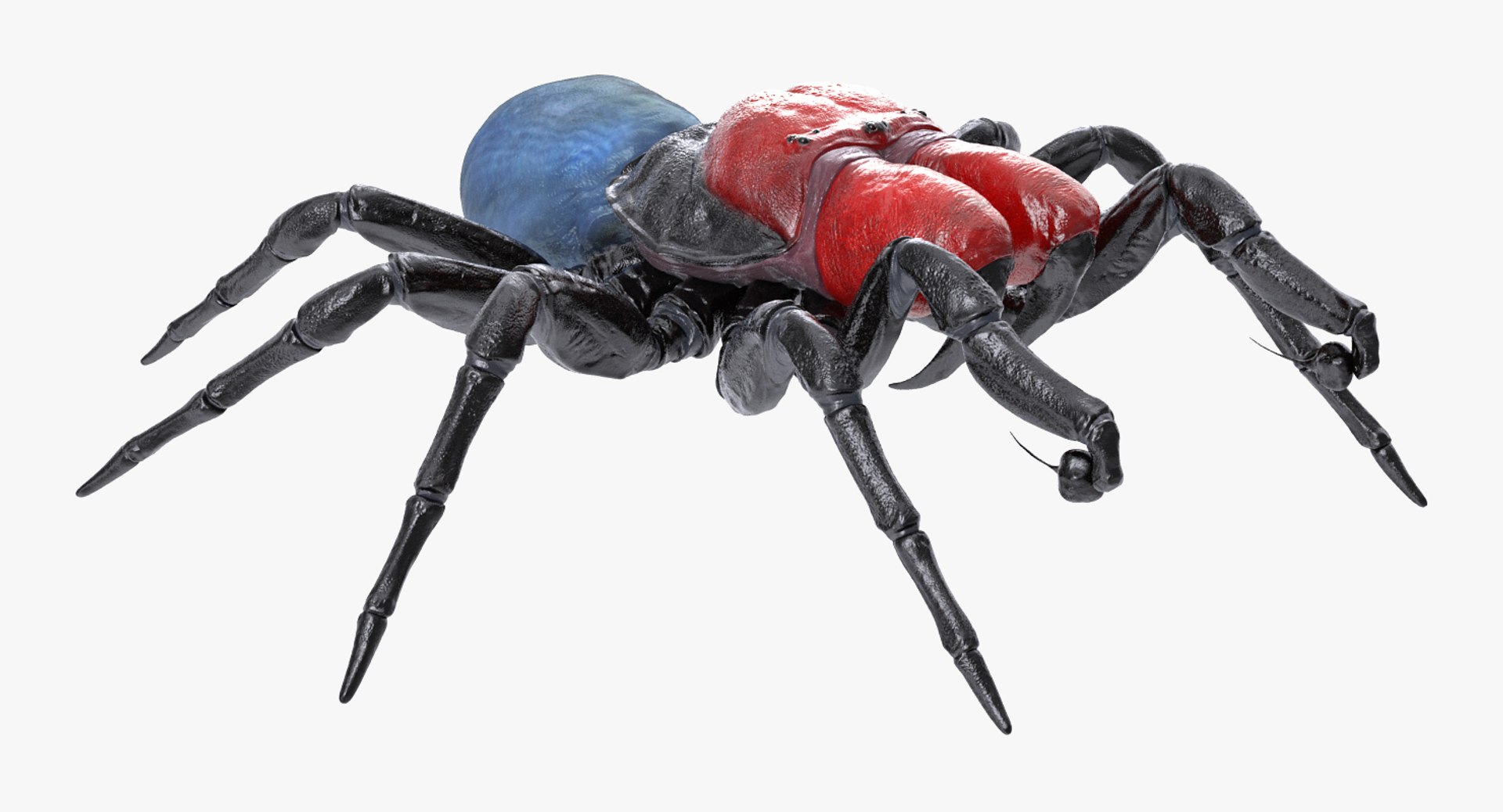 3D insects big 3 model https://p.turbosquid.com/ts-thumb/WF/bWghE4/shLxg2J8/insectsbigcollection33dmodel089/jpg/1577449906/1920x1080/fit_q87/b0dceffe7019047152739f698587b0792b255901/insectsbigcollection33dmodel089.jpg
