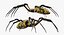Insekten Big Collection 3