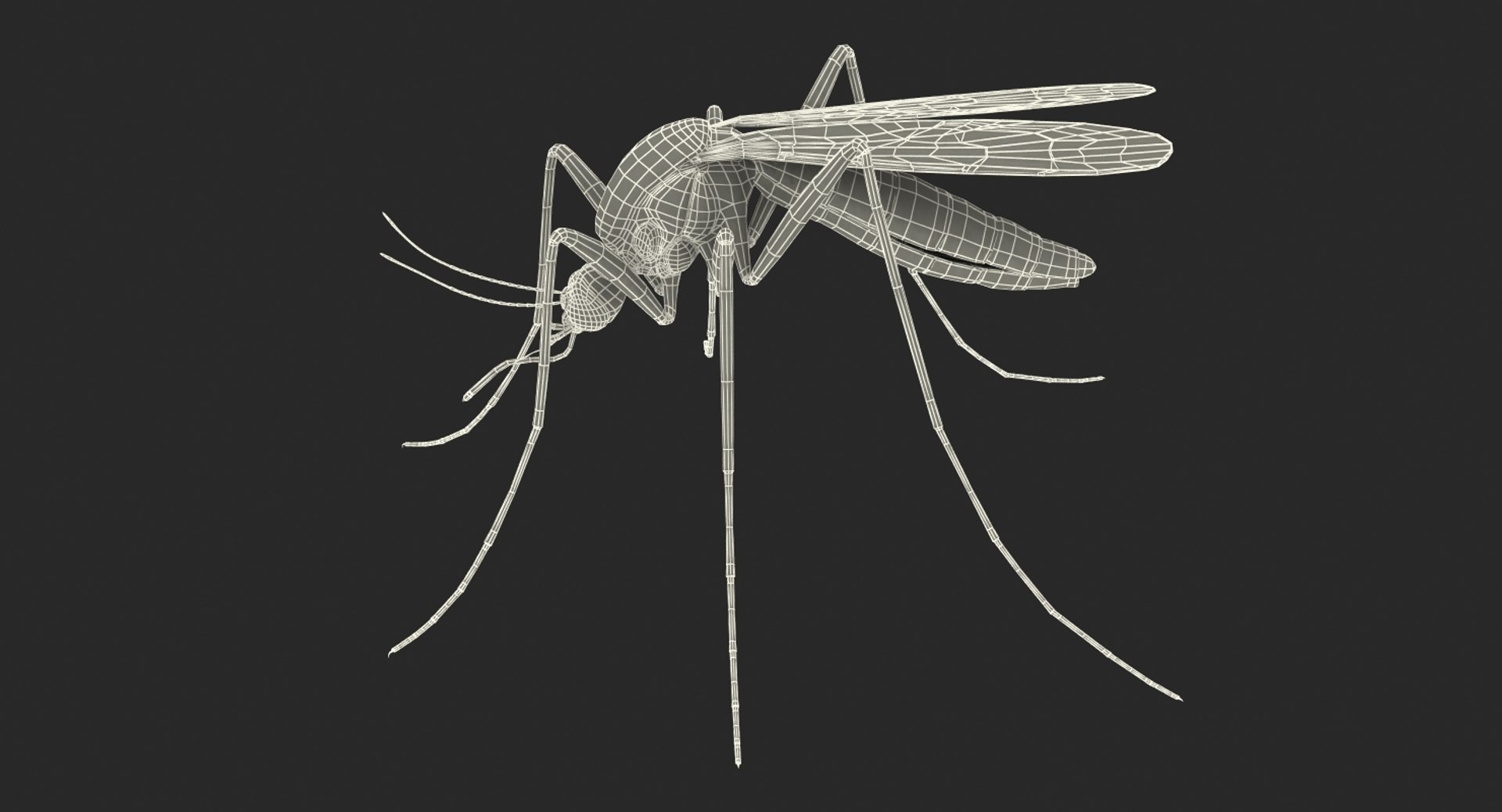 3D insects big 3 model https://p.turbosquid.com/ts-thumb/WF/bWghE4/zDYfidjR/insectsbigcollection33dmodel173/jpg/1577449908/1920x1080/fit_q87/1cc933fefd9ea66d4b5f4d683a9ab10a340722f3/insectsbigcollection33dmodel173.jpg