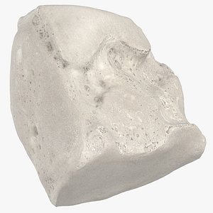 Real Cuneiform Bone Intermediate 01 White