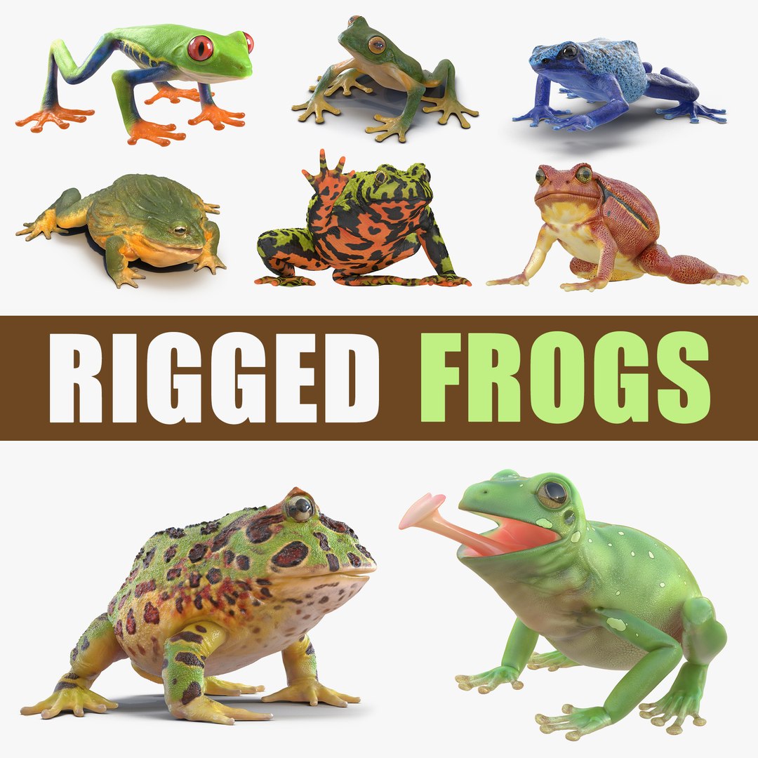 Rigged Frogs 3D Models Collection 3D model preview