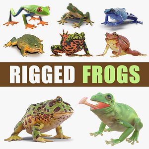 3D rigged frogs