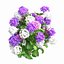 Plantes Hortensia Set 02