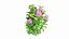 Plantes Hortensia Set 02