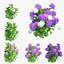 Plantes Hortensia Set 02