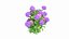 Plantes Hortensia Set 02
