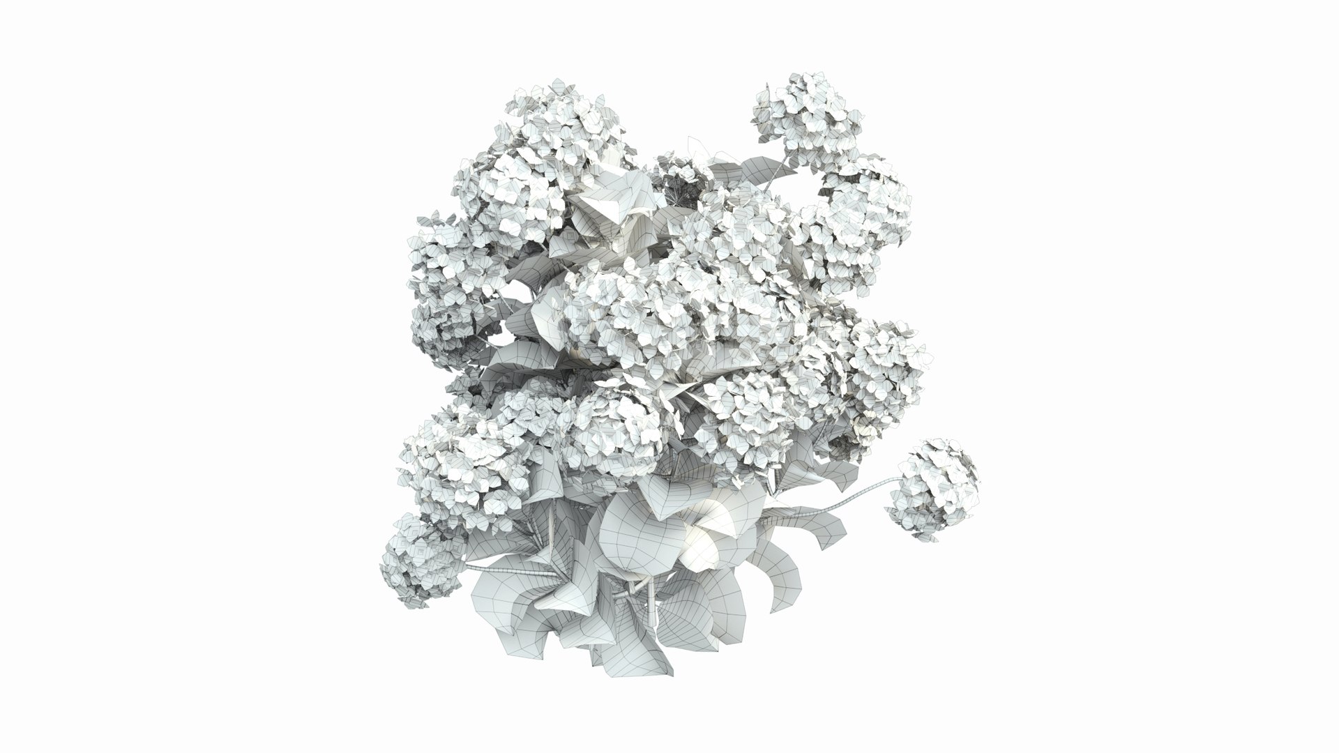 plants hydrangea set 02 3D model https://p.turbosquid.com/ts-thumb/WF/mpUsxL/r3/view06/jpg/1609997560/1920x1080/fit_q87/84d172c21b86c69afd0f56a7e68b8e4b3dcc5f57/view06.jpg