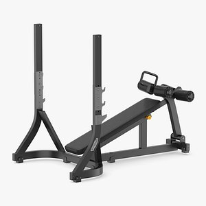 gym fitness weight model