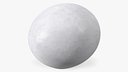 SeaTurtle Egg