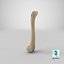bone pbr 3D model