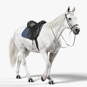 Horse White Saddled ANIMATED