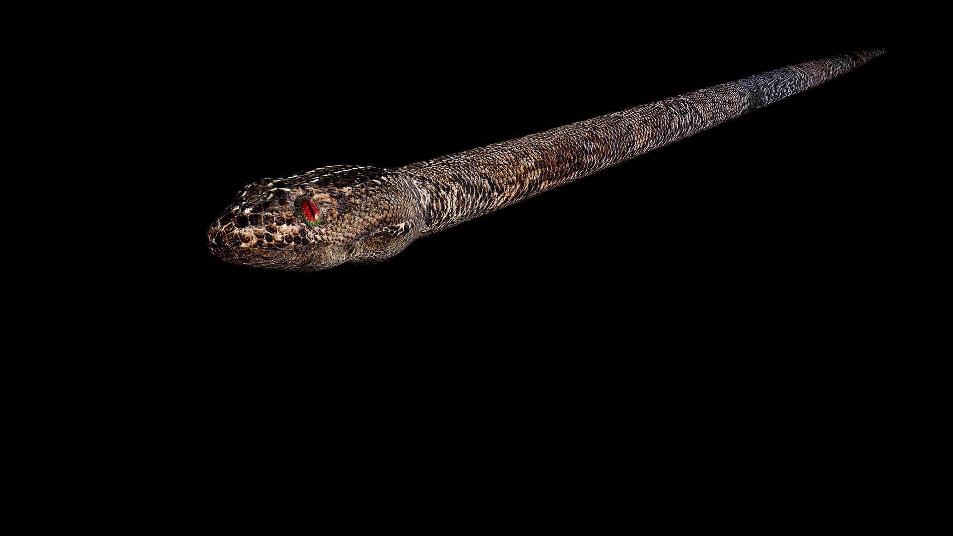 3D Snake Model - TurboSquid 2546578