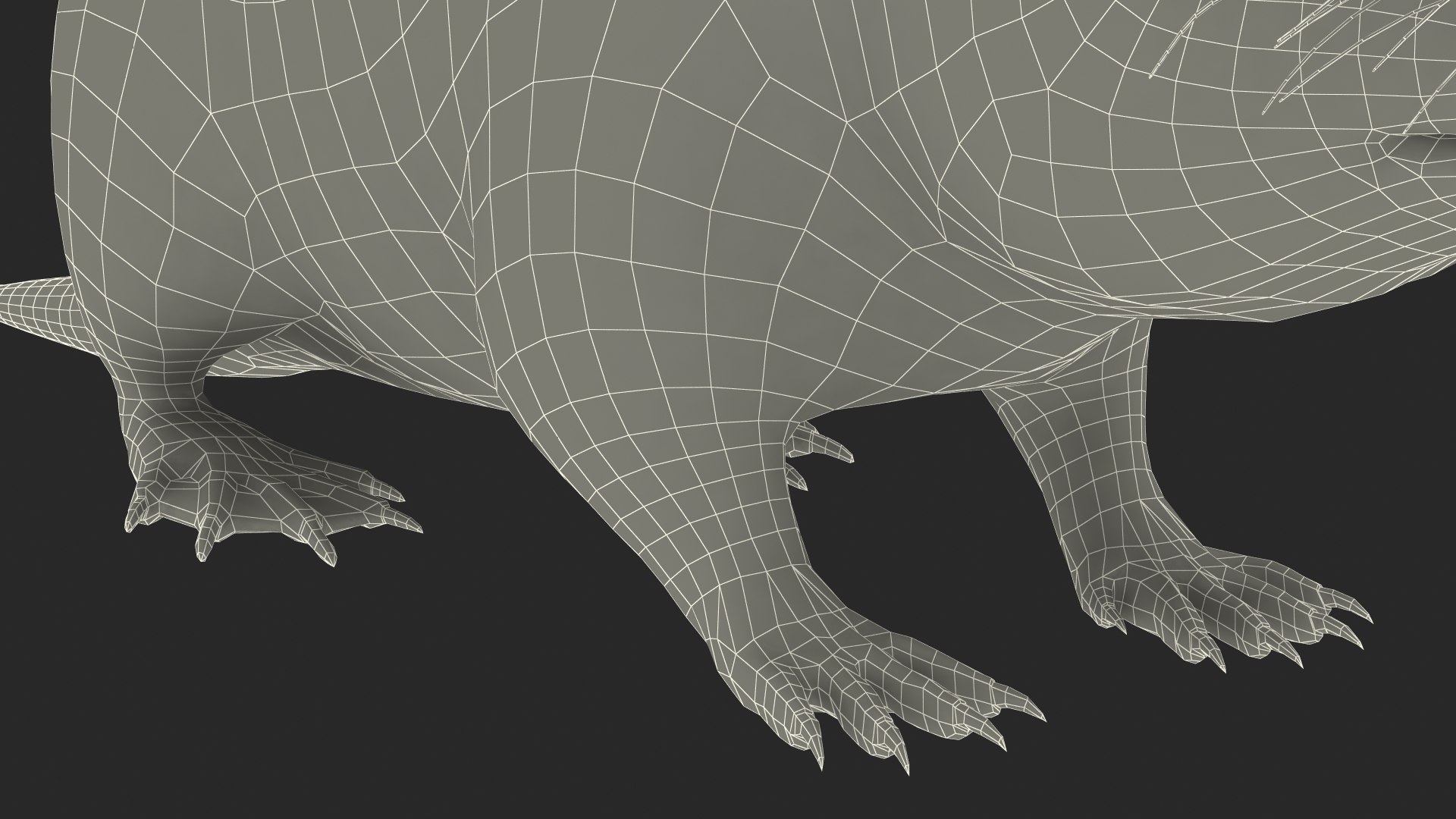 Nutria Fur Rigged 3D model https://p.turbosquid.com/ts-thumb/WG/DYCgd1/1P/nutriafurriggedvray3dmodel044/jpg/1706300888/1920x1080/fit_q87/a7c7f78fd31c4033af7d6c174cb5fe054165c14a/nutriafurriggedvray3dmodel044.jpg