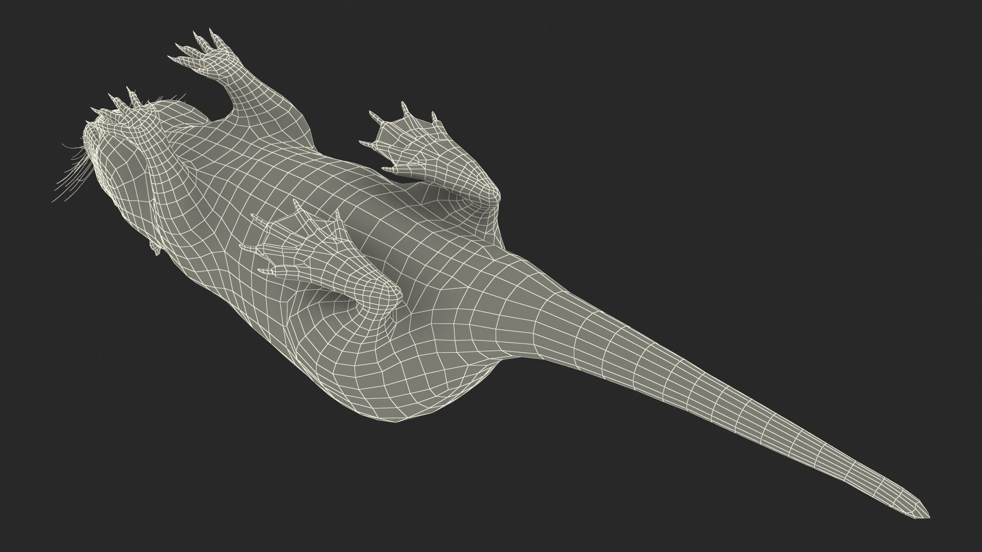 Nutria Fur Rigged 3D model https://p.turbosquid.com/ts-thumb/WG/DYCgd1/1k/nutriafurriggedvray3dmodel042/jpg/1706300877/1920x1080/fit_q87/c0026fee896f64b9ecbeaeb537a96de4740d456d/nutriafurriggedvray3dmodel042.jpg