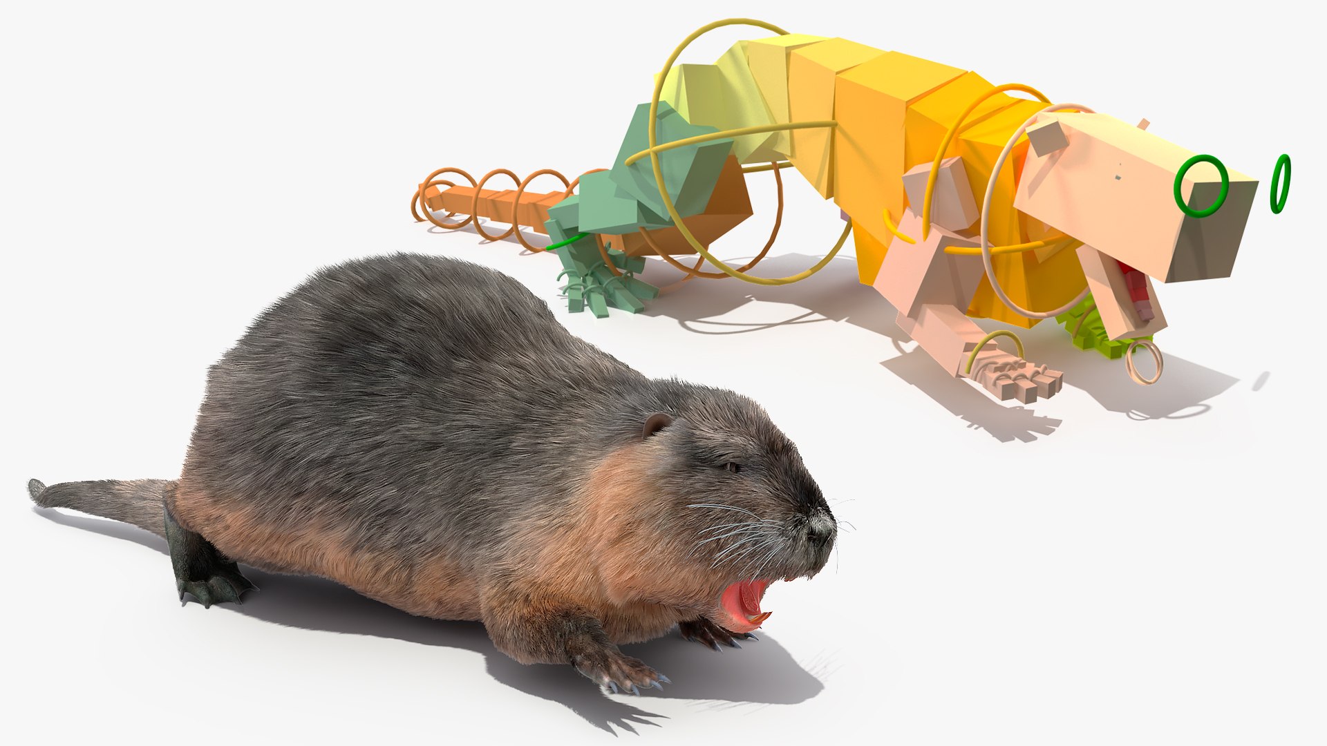 Nutria Fur Rigged 3D model https://p.turbosquid.com/ts-thumb/WG/DYCgd1/Rw/nutriafurriggedvray3dmodel002/jpg/1706300676/1920x1080/fit_q87/833aeb29d39a7f56c93c7636cf422a5a1346e4c7/nutriafurriggedvray3dmodel002.jpg