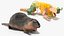 Piel de Nutria aparejada