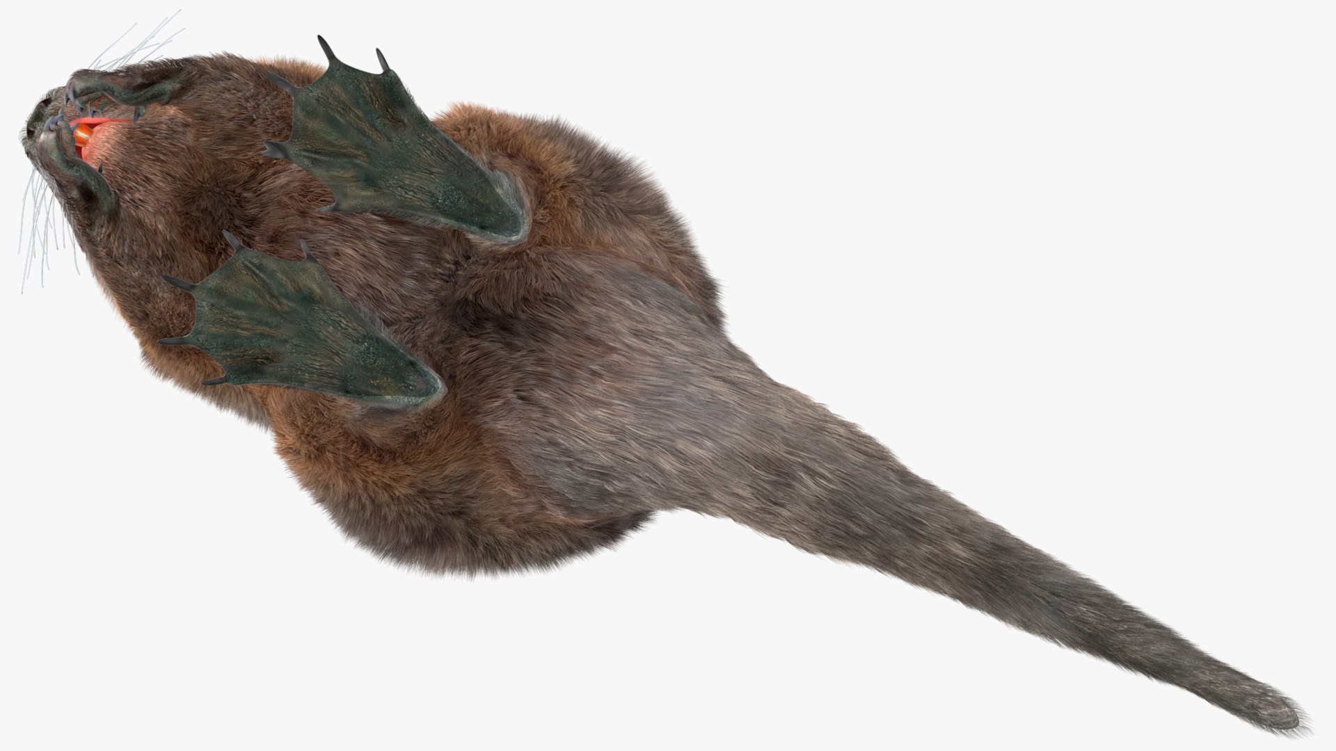 Nutria Fur Rigged 3D model https://p.turbosquid.com/ts-thumb/WG/DYCgd1/eu/nutriafurriggedvray3dmodel023/jpg/1706300783/1920x1080/fit_q87/7d847c084877ae4855bedf279c77d2db2b3c132d/nutriafurriggedvray3dmodel023.jpg