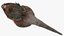 Piel de Nutria aparejada
